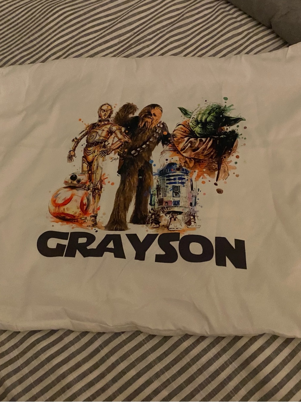 Star Wars “Grayson” pillow case
